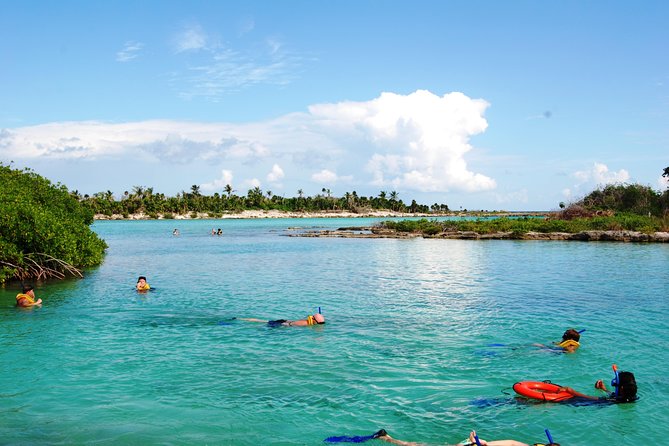 Mayan Adventure Snorkeling Tour from Playa del Carmen or Riviera Maya - Triple-Ecosystem Snorkeling: Why This Day Feels Special