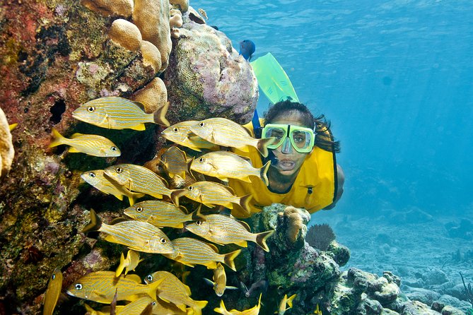 Mayan Adventure Snorkeling Tour from Playa del Carmen or Riviera Maya - 7:00 am Pickup From Playa del Carmen: Morning Energy and Time Control