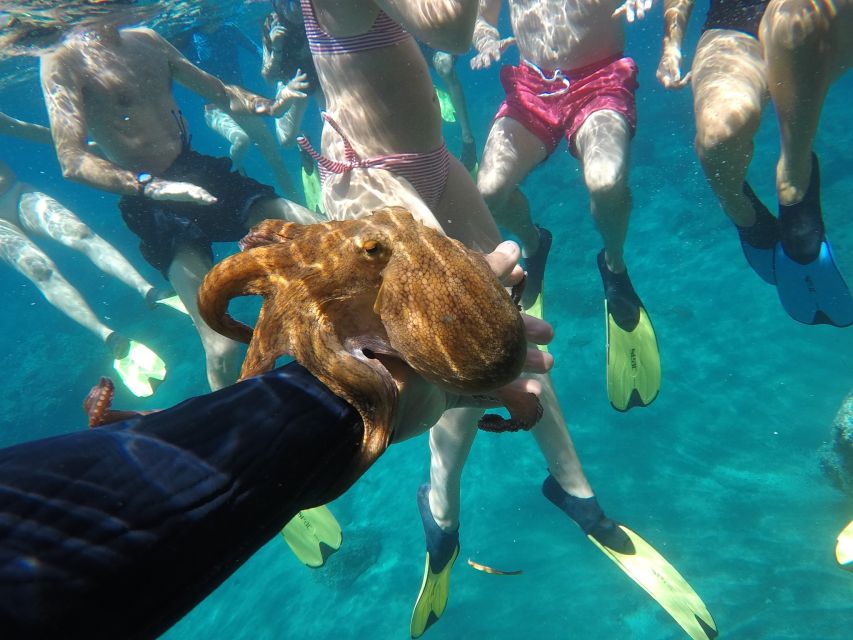 Milos: Half-Day Speedboat Cruise to Klefiko with Snorkeling - Kalogries Bay: the calm-water payoff at the end of the West route
