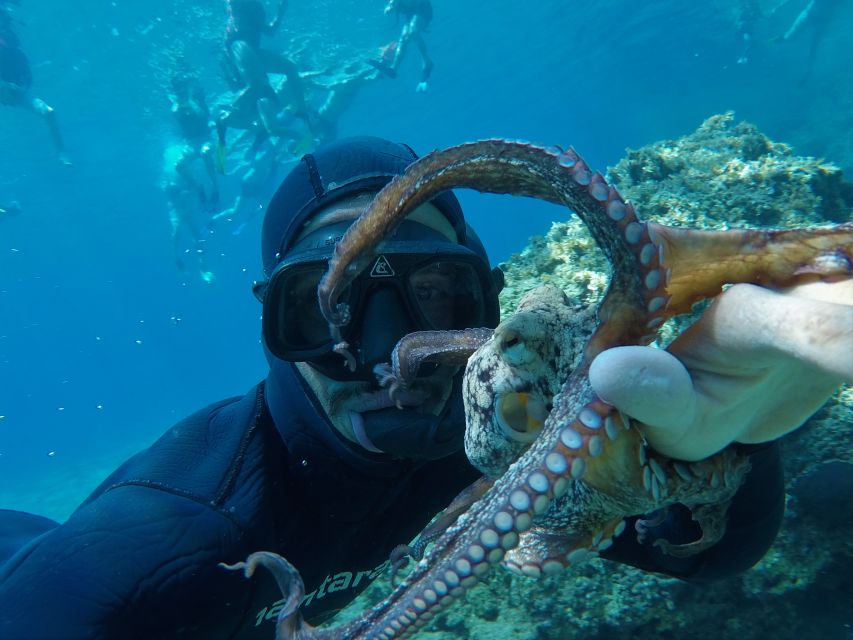 Milos: Half-Day Speedboat Cruise to Klefiko with Snorkeling - West Milos first: Kleftiko and Sykia Cave in the same run