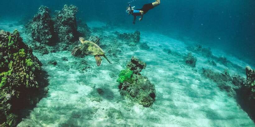 Mirissa: Snorkeling Experience with Turtles - First hour on the water: how the Mirissa turtle snorkeling runs