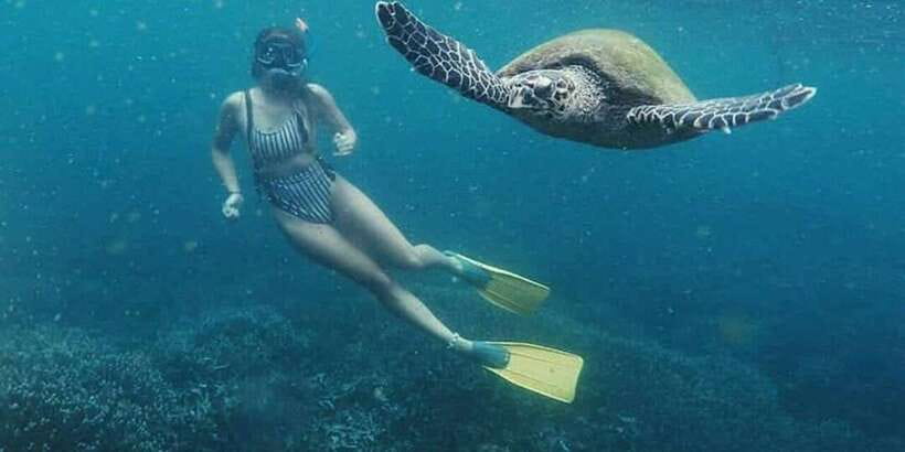 Mirissa: Snorkeling Experience with Turtles - Safety and comfort: why supervision matters more than you think