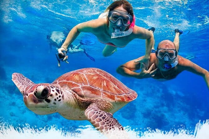 Mirissa Unforgettable Snorkeling Experience with Turtles - Key things that make this turtle snorkel work