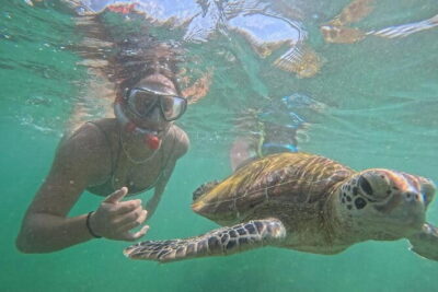 Mirissa Unforgettable Snorkeling Experience with Turtles - Training and Gear: Why the Instructor Matters