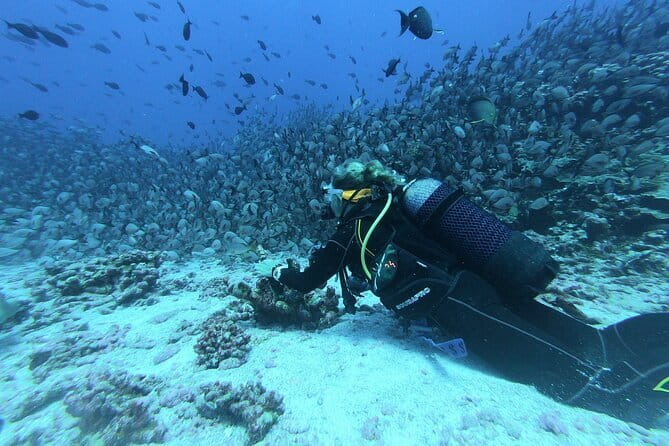 Mirissa Unforgettable Snorkeling Experience with Turtles - Beach Time and a Scenic Photo Spot