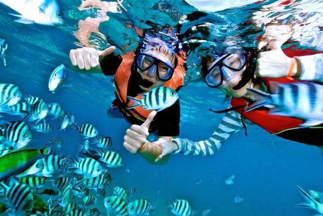Mirissa Unforgettable Snorkeling Experience with Turtles - Price and Value: Is $24 Worth It?