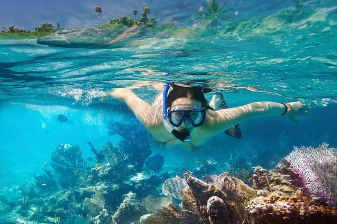 Mirissa Unforgettable Snorkeling Experience with Turtles - Safety and Crowds: How to Make It Comfortable