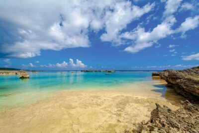 [Miyako Island/Half Day] Sea Turtle Snorkeling - How the Timing Works: Multiple Start Times, Same Core Experience