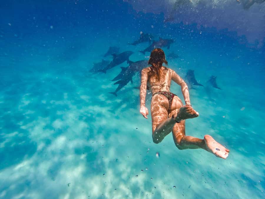 Mnemba Island: Dolphin Swim & Snorkeling with Optional Lunch - The Dolphin Swim Part: What It Feels Like and How to Handle Conditions