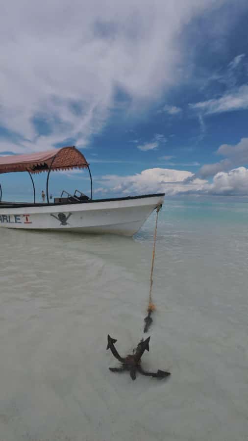 Mnemba Island: Dolphin Swim & Snorkeling with Optional Lunch - Mnemba Island Break: Photo Stop, Sand Time, and Boat Vibes