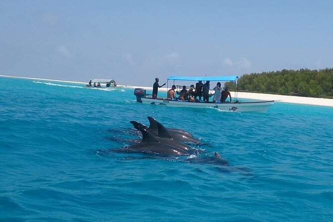 Mnemba Island snorkeling and Swimming with Dolphin - Sandbank Stop: A Bonus That Depends on the Tide