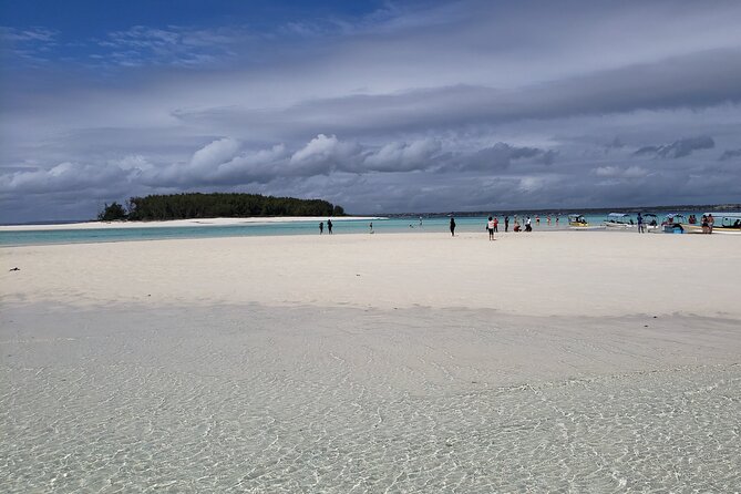 Mnemba Island snorkeling and Swimming with Dolphin - Guides, Coordination, and Wildlife Respect That Actually Shows