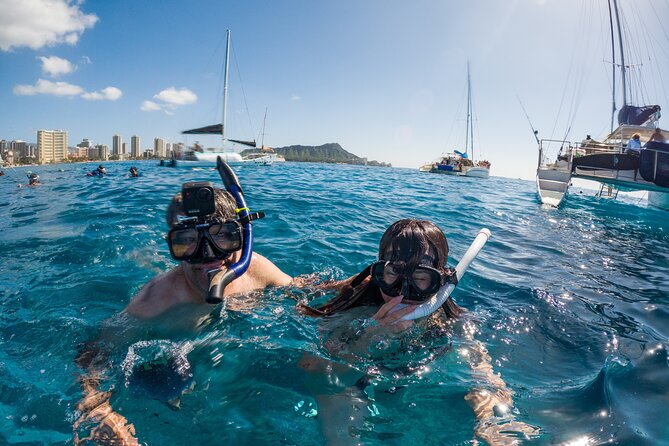 Moana’s Waikīkī Grand Guided Turtle Snorkel & Sailing Adventure - What you’ll likely see underwater at Turtle Canyon