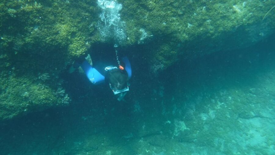 Mogán: Guided Kayak to Caves and Snorkeling Tour - Snorkeling stop: clear water, fish, and a realistic wetsuit plan