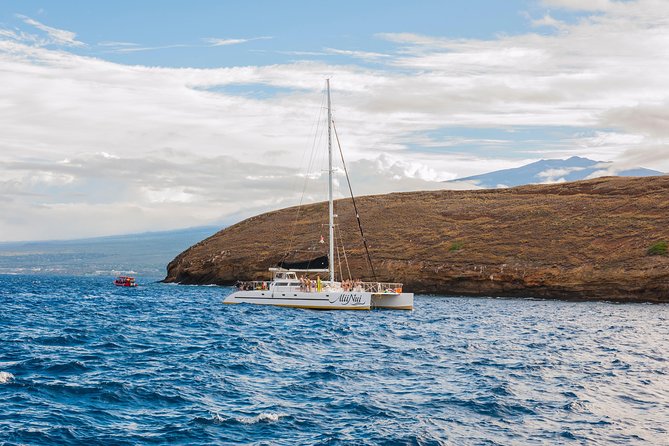 Molokini and Turtle Arches Snorkeling Trip from Ma'alaea Harbor - Safety and comfort on the water: staff in the water, clear instructions