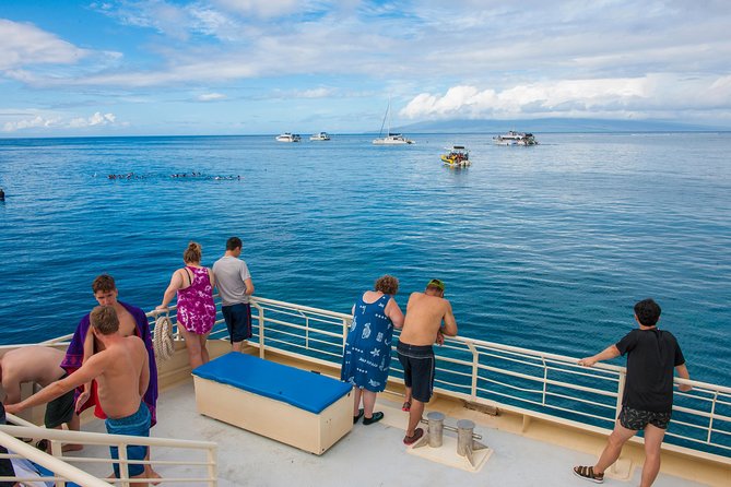 Molokini and Turtle Arches Snorkeling Trip from Ma'alaea Harbor - Wildlife is never guaranteed, and that’s part of the deal
