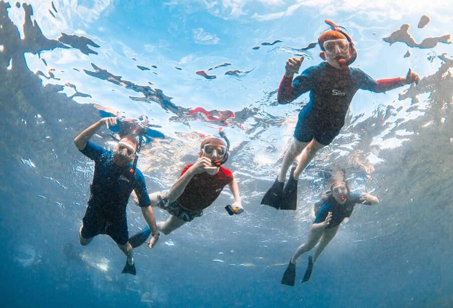 Molokini Crater Snorkel & Whale Watching (Dec 15 – Mar 30) - How to prep so the day feels smooth (and safer)