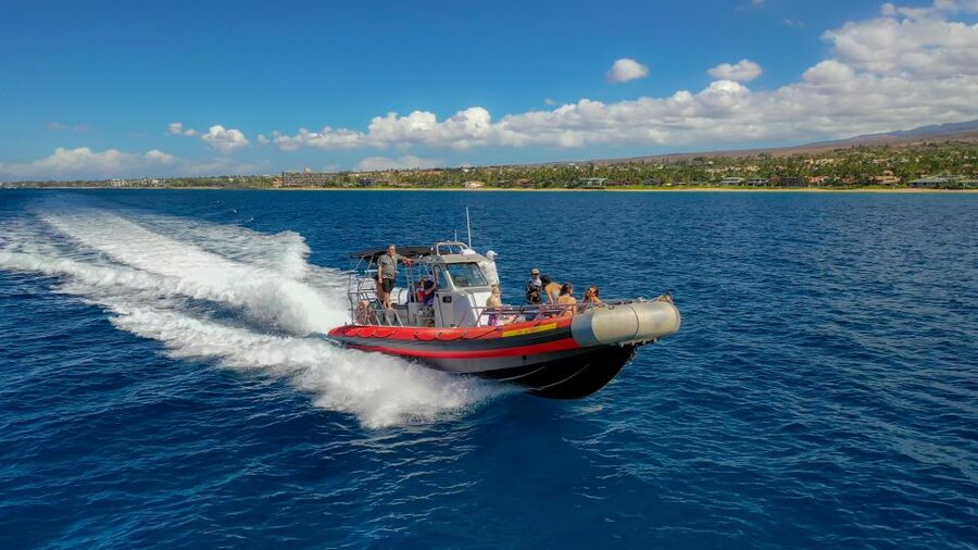 Molokini Crater Snorkel & Whale Watching (Dec 15 – Mar 30) - The small-boat setup that helps you actually see whales