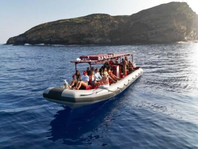 Molokini Crater Snorkel & Whale Watching (Dec 15 – Mar 30) - Makena Bay: your safety briefing, then whale time