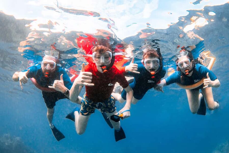 Molokini Crater Snorkel & Whale Watching (Dec 15 – Mar 30) - If Molokini isn’t the call: Turtle Town as the backup plan