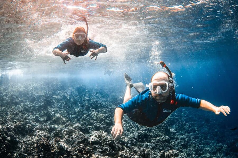 Molokini Crater Snorkel & Whale Watching (Dec 15 – Mar 30) - What you do on the way back (dolphins, then more whale watching)