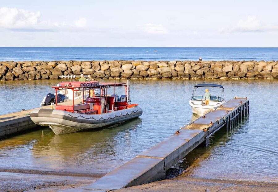 Molokini Crater Snorkel & Whale Watching (Dec 15 – Mar 30) - Gear, snacks, and photo moments that make the price feel fair