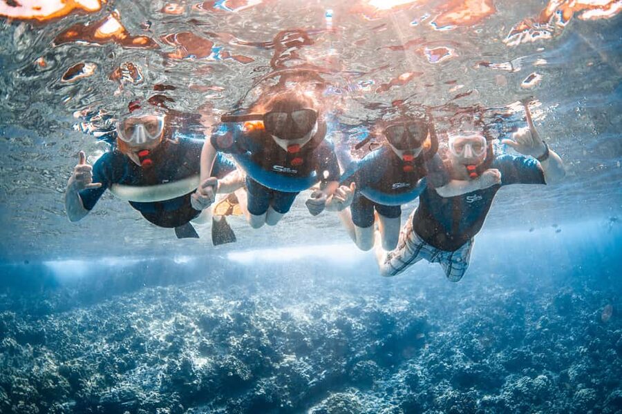 Molokini Crater Snorkel & Whale Watching (Dec 15 – Mar 30) - Who should book, and who should skip it