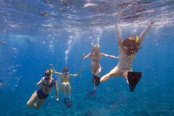 Molokini Snorkel and Performance Sail: Mā’alaea Harbor - Key Points Before You Go