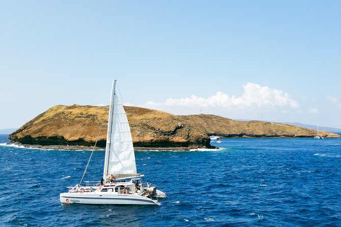 Molokini Snorkel and Performance Sail: Mā’alaea Harbor - Snorkeling at Molokini Crater: The 1-Hour Plan That Works