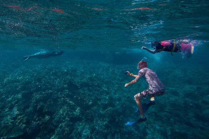 Molokini Snorkel and Performance Sail: Mā’alaea Harbor - Onboard Comfort: Food, Drinks, and the “Full Day” Feel