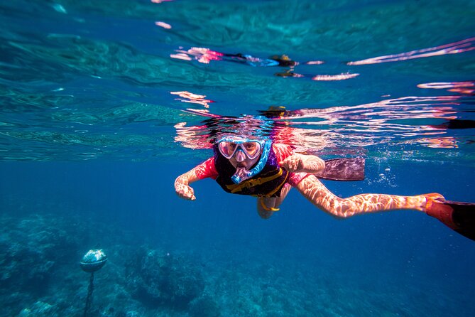 Molokini Snorkel and Performance Sail: Mā’alaea Harbor - Price and Value: Is $200 a Good Deal Here?