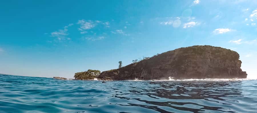 Mooloolaba: Snorkel with Turtles Mudjimba Island - Why Mudjimba Island is such a turtle magnet