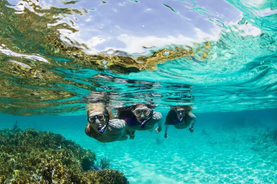Mooloolaba: Snorkel with Turtles Mudjimba Island - In-water guiding: why instructors matter more than you think