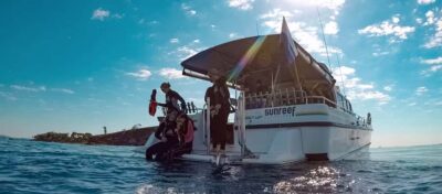 Mooloolaba: Snorkel with Turtles Mudjimba Island - The 2 to 2.5 hour plan: boat ride, gear up, and one guided hour