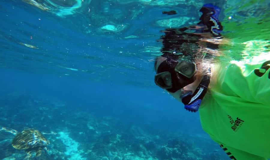 Mooloolaba: Snorkel with Turtles Mudjimba Island - Price and logistics: what $63 buys you from Mooloolaba