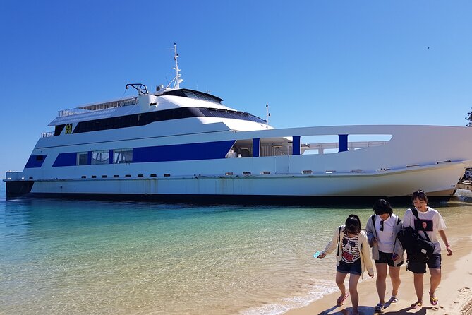 Moreton Island Day Trip (Kayak, Snorkel & Sandboard) frm Brisbane or Gold Coast - Picnic lunch on the beach: good food, limited breathing room