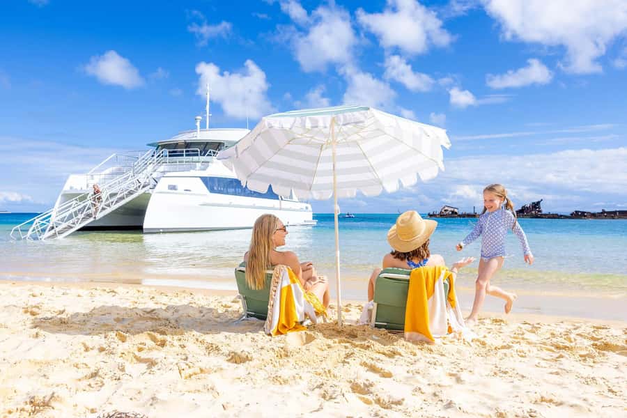 Moreton Island: Dolphin & Tangalooma Wrecks Snorkel Cruise - Quick take: what makes this cruise worth your time