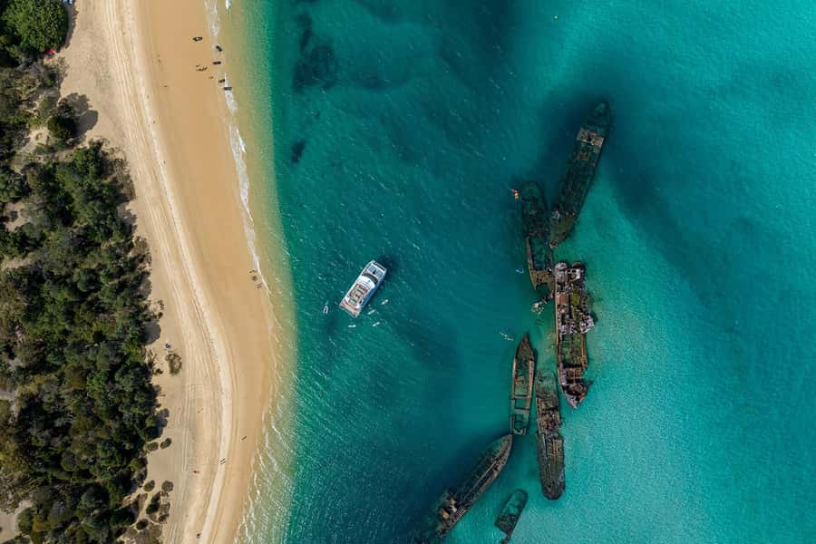 Moreton Island: Dolphin & Tangalooma Wrecks Snorkel Cruise - Moreton Island in one day: the real value