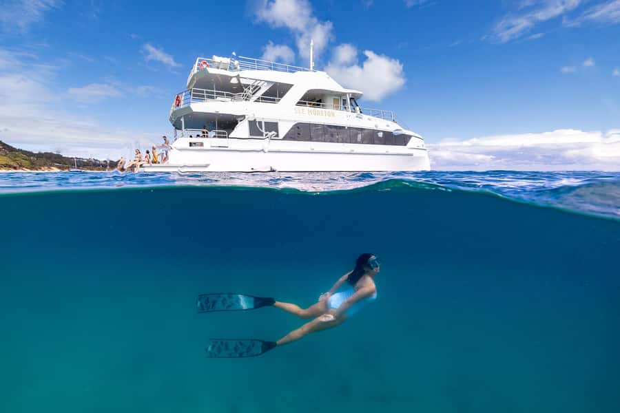 Moreton Island: Dolphin & Tangalooma Wrecks Snorkel Cruise - Snorkeling the Tangalooma wrecks: what you’ll actually do