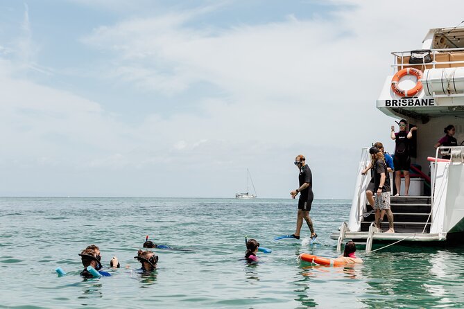 Moreton Island Eco Marine Safari Cruise and Snorkel - Key Things That Make This Cruise Worth It