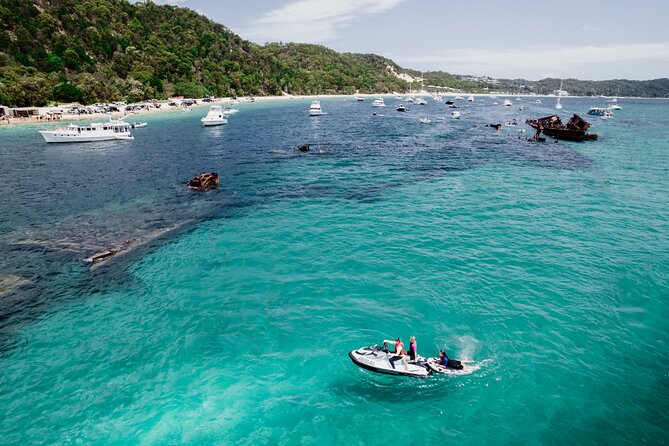 Moreton Island Eco Marine Safari Cruise and Snorkel - Group size and comfort: what to expect with up to 65 people