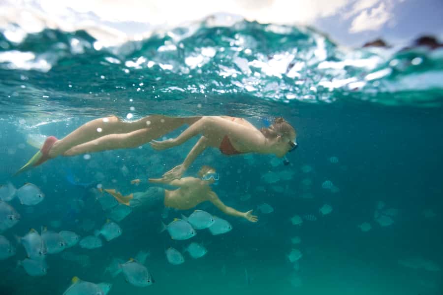 Moreton Island: Tangalooma Day Trip with Snorkeling Tour - Quick take: what makes this day trip work