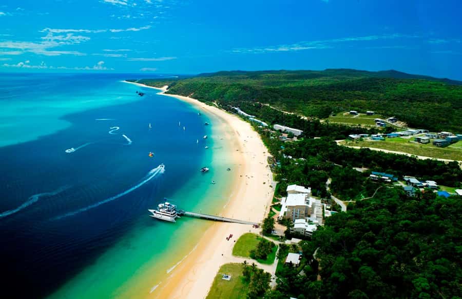Moreton Island: Tangalooma Day Trip with Snorkeling Tour - Lunch + downtime: use the resort while you’ve got it