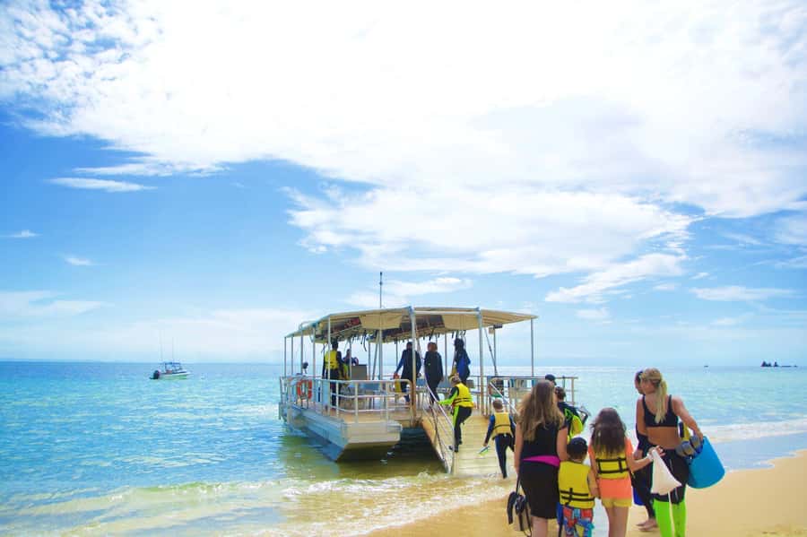 Moreton Island: Tangalooma Day Trip with Snorkeling Tour - Eco Centre and the dolphin presentation at 3:15pm