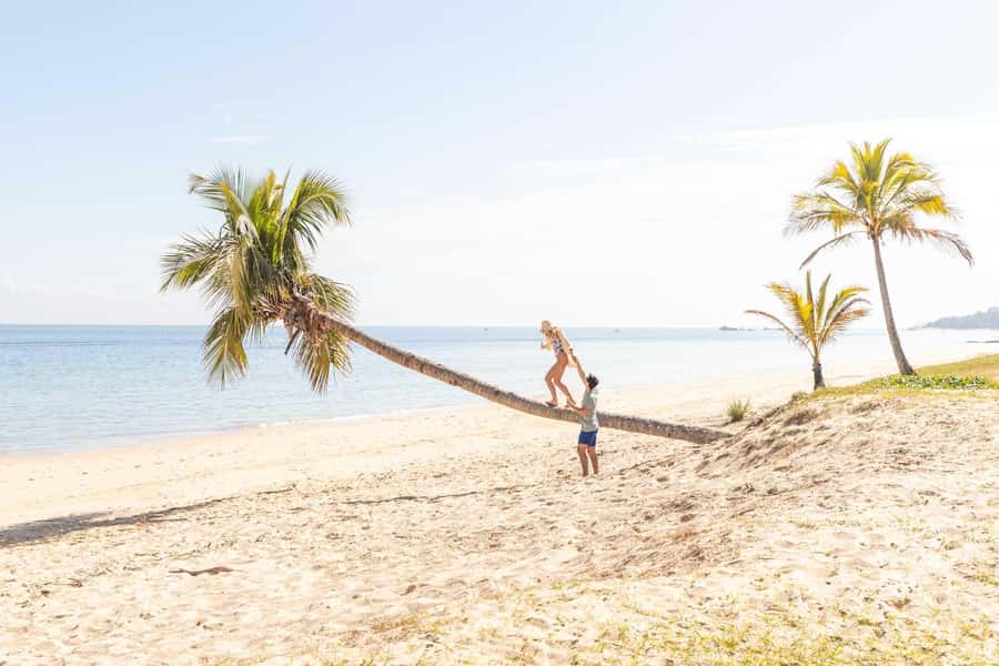 Moreton Island: Tangalooma Day Trip with Snorkeling Tour - Small details that make your day smoother