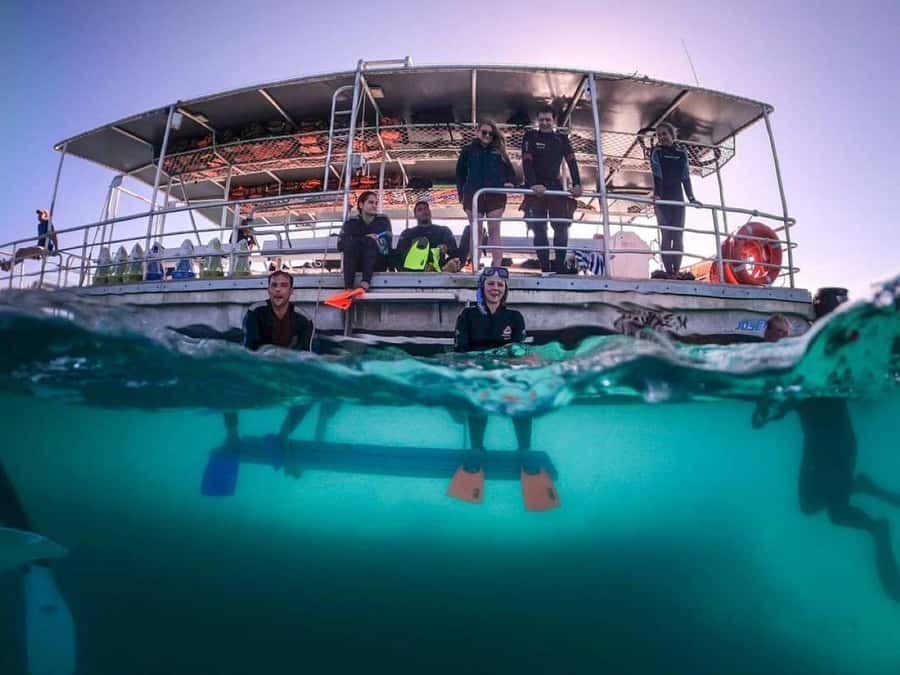 Moreton Island: Tangalooma Day Trip with Snorkeling Tour - The resort day pass: why you’re not just visiting, you’re staying
