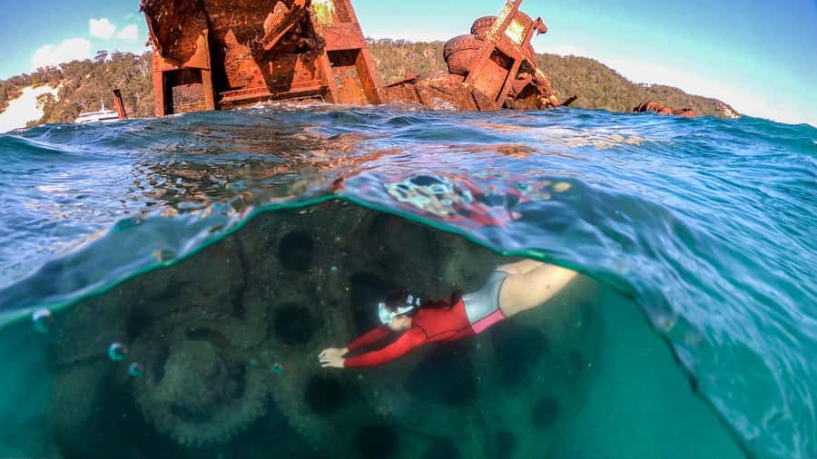 Moreton Island: Tangalooma Snorkeling Tour & Dolphin Feeding - Snorkel the Tangalooma Wrecks: gear, guide style, and what you’ll see
