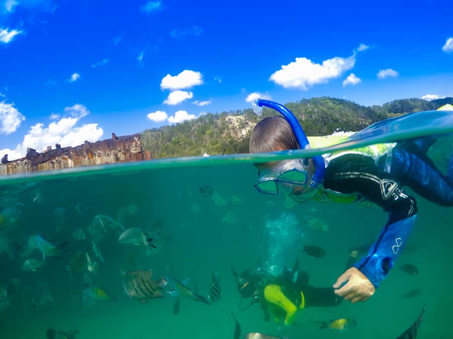 Moreton Island: Tangalooma Snorkeling Tour & Dolphin Feeding - Price and value: is $172 a fair deal for the whole bundle?