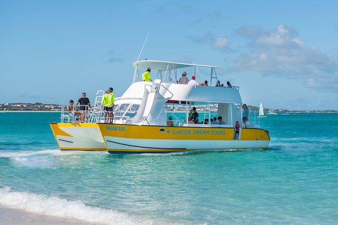 Morning Half Day Cruise from Providenciales with Snorkeling and Iguana Island - Iguana Island on Little Water Cay: endangered rock iguanas up close