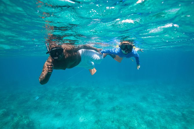 Morning Half Day Cruise from Providenciales with Snorkeling and Iguana Island - Who should book this morning cruise, and who should skip it
